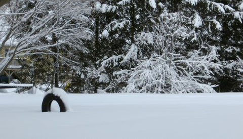 7 Ideas for Family Fun this Winter - Good's Store Online
