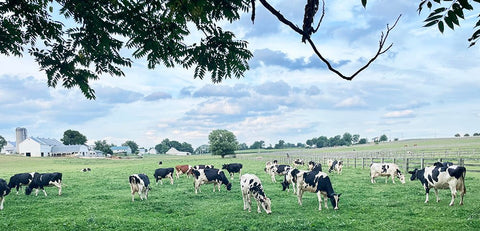 Favorite Family Fun Places to Visit in Lancaster County - Good's Store Online