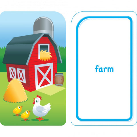 Colors, Shapes, & More Flash Cards 04011