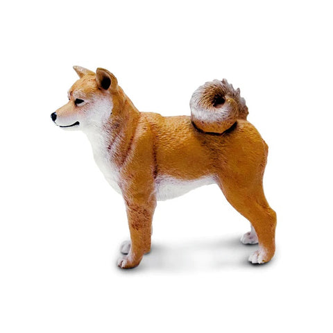 Shiba Inu
