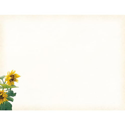 Front of Envelope