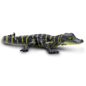 Alligator Baby 101073