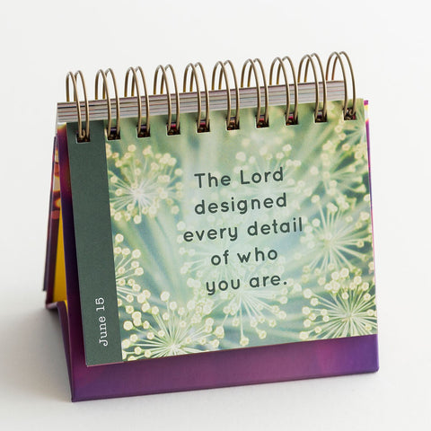 Shine Bright Perpetual Calendar Day Brightener 10176