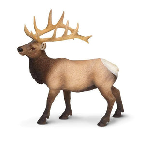 Elk Bull 180329