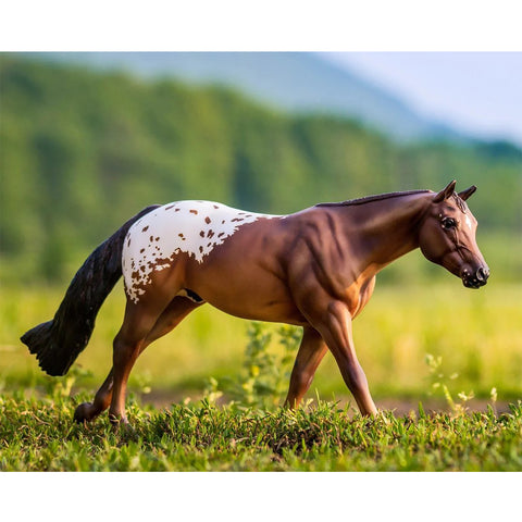 Chocolatey Champion Appaloosa Horse 1842