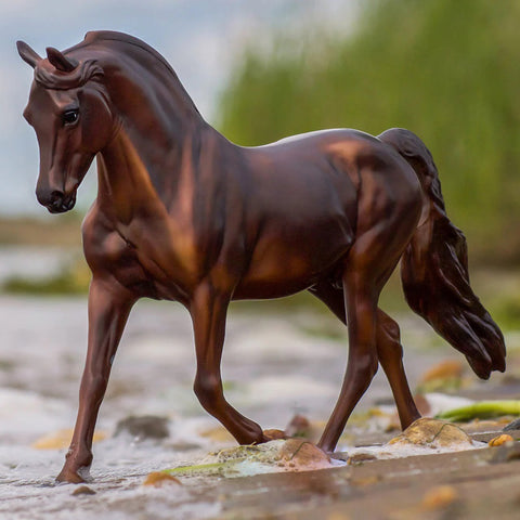 MorganQuest Native Sun Walking Through Water