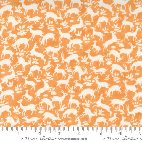 Pumpkins and Blossoms Collection Cotton Fabric 20422