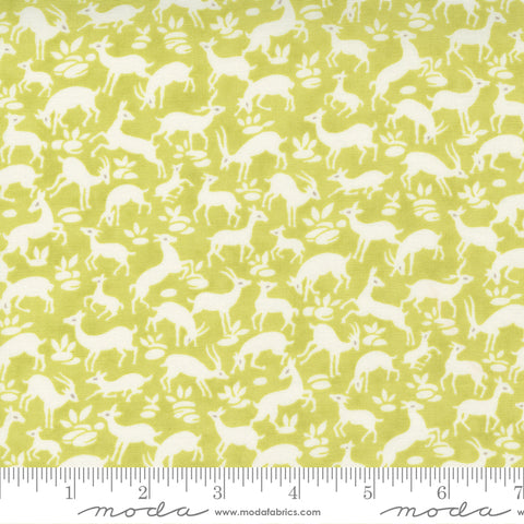 Pumpkins and Blossoms Collection Cotton Fabric 20422