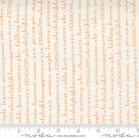 Pumpkins and Blossoms Collection Cotton Fabric 20425