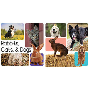 Rabbits, Cats, and Dogs