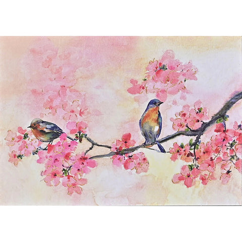 Front of Cherry Blossoms in Spring Boxed Note Card