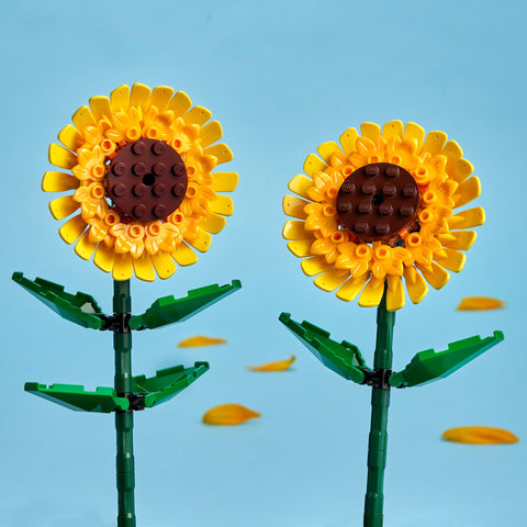 LEGO Botanticals Sunflowers on blue background