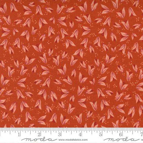 Songbook Collection Cotton Fabric 45525