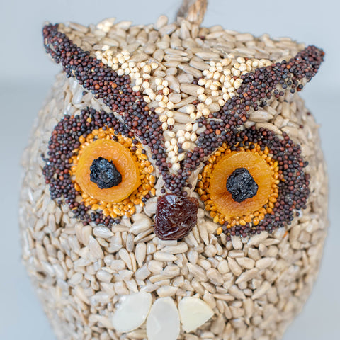 Closeup view of face of Mr. Bird Whoo-lio Owl seed cake