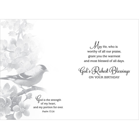 Boxed Cards Birthday Cheer 658-00765-000