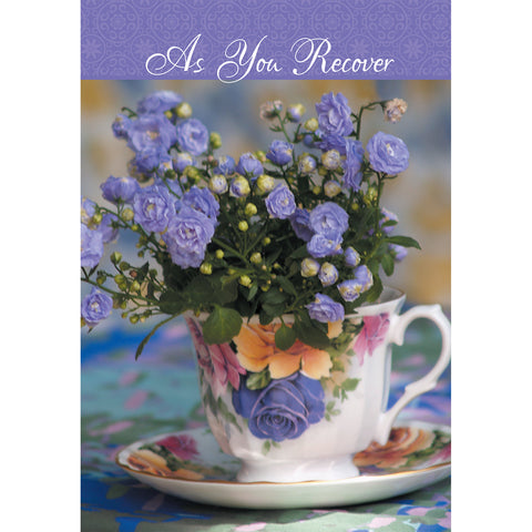 Boxed Cards Get Well Bouquets 658-00803-000