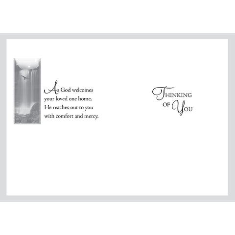 Boxed Cards Sympathy Scenes 658-00818-000