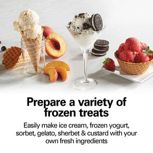 Prepare a variety of frozen treats