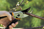 Fiskers hand pruner in use.