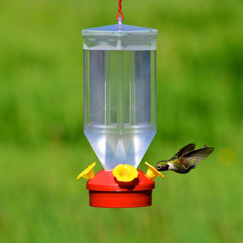 Hummingbird feeding at Perky-Pet Plastic Lantern Hummingbird Feeder