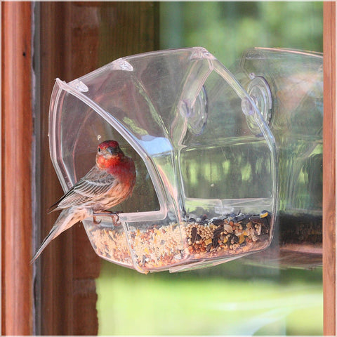 Clear Plastic Window Bird Feeder 348