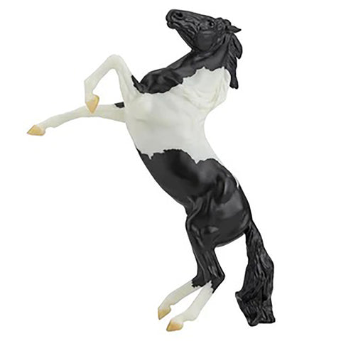 Black Pinto Rearing Mustang Horse 961