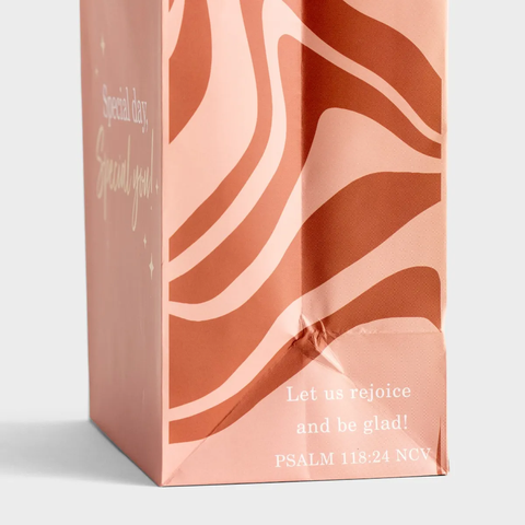 A Special Day - Medium Gift Bag with Tissue J9849 B