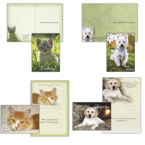 Adorable Puppies & Kittens Boxed Birthday Cards 22623