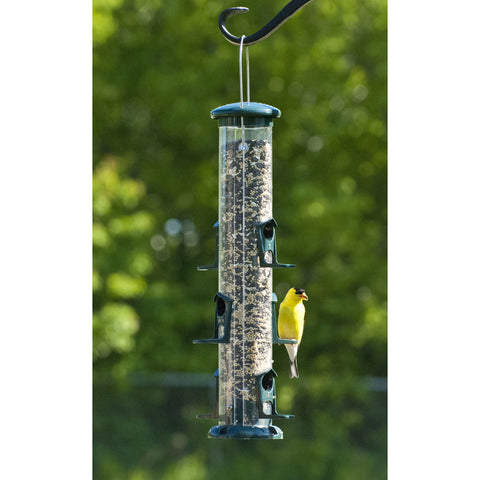 Audubon 6-port Birdfeeder with Bird