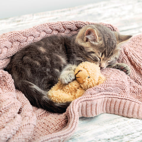 Kitten Snuggles 100-Piece Puzzle CH8547