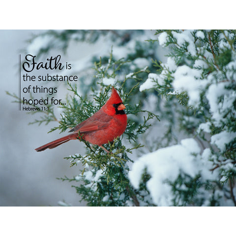 Winter Cardinal 500-Piece Puzzle CH8566