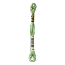 Light Forest Green Embroidery Floss