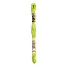 Light Chartreuse Embroidery Floss