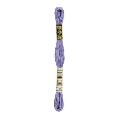 Medium Light Blueberry Embroidery Floss