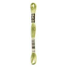 Light Yellow Green Embroidery Floss