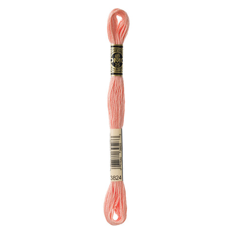 Light Apricot Embroidery Floss