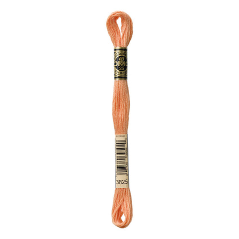 Pale Pumpkin Embroidery Floss