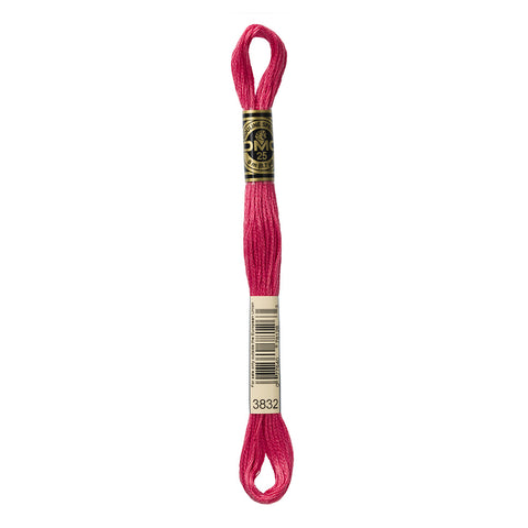 Medium Raspberry Embroidery Floss