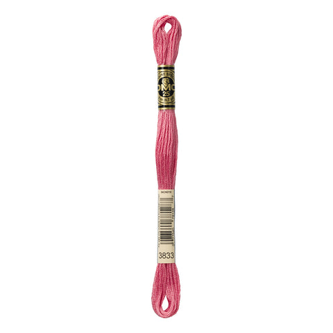 Light Raspberry Embroidery Floss