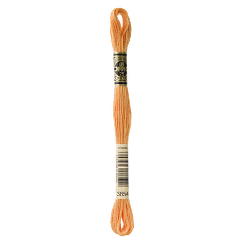 Medium Autumn Gold Embroidery Floss