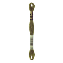 Very Dark Olive Green Embroidery Floss