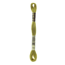 Medium Olive Green Embroidery Floss