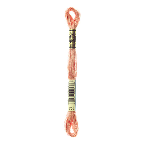 Very Light Terra Cotta Embroidery Floss