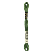 Dark Forest Green Embroidery Floss