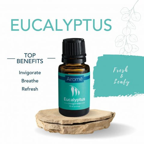 Eucalyptus Essential Oil Benefits