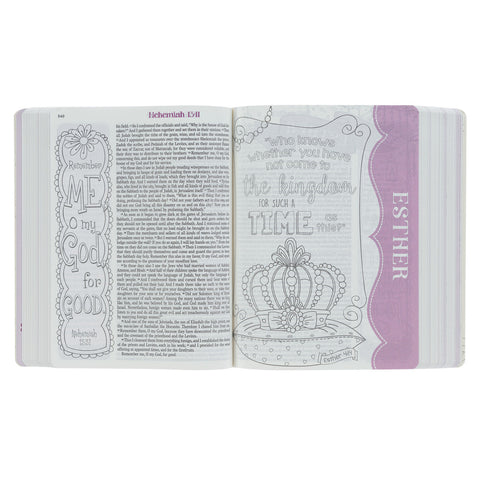 Book of the Bible Cover Page