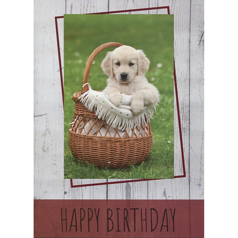 Card 1
