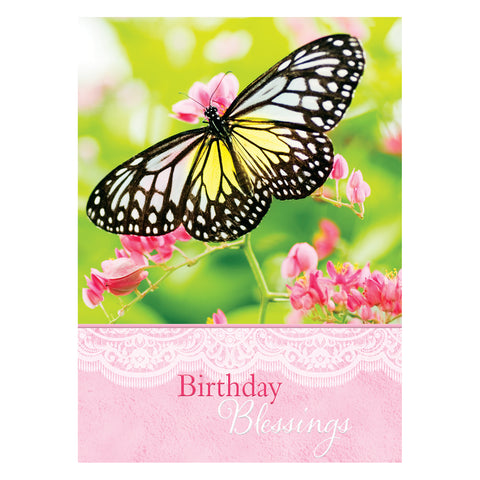Butterflies Birthday Boxed Cards FT22582 front of card 1