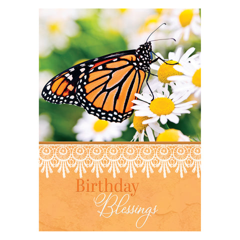 Butterflies Birthday Boxed Cards FT22582 front of card 2