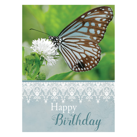 Butterflies Birthday Boxed Cards FT22582 front of card 4